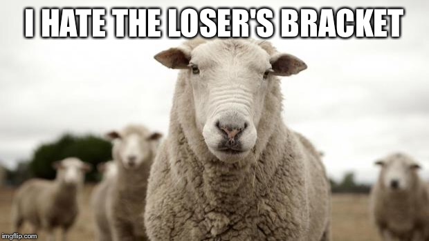 Sheep | I HATE THE LOSER'S BRACKET | image tagged in sheep | made w/ Imgflip meme maker