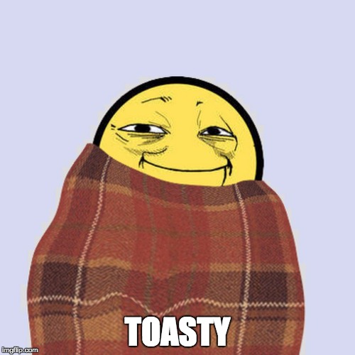 TOASTY | image tagged in snug as a bug in a rug | made w/ Imgflip meme maker