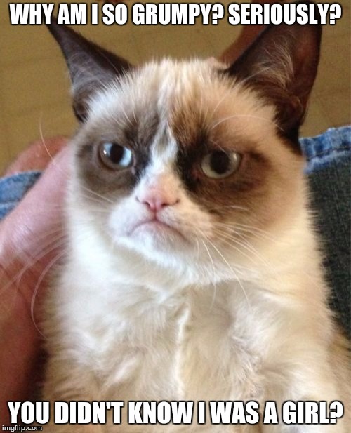 Grumpy Cat | WHY AM I SO GRUMPY?
SERIOUSLY? YOU DIDN'T KNOW I WAS A GIRL? | image tagged in memes,grumpy cat | made w/ Imgflip meme maker