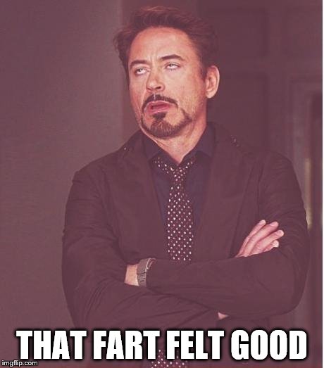 Face You Make Robert Downey Jr | THAT FART FELT GOOD | image tagged in memes,face you make robert downey jr | made w/ Imgflip meme maker