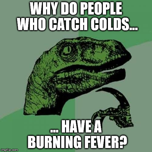 I got a cold... | WHY DO PEOPLE WHO CATCH COLDS... ... HAVE A BURNING FEVER? | image tagged in memes,philosoraptor,aegis_runestone,cold | made w/ Imgflip meme maker