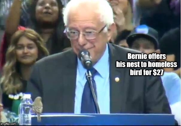 Bernie offers his nest to homeless bird for $27 | image tagged in bernie bird | made w/ Imgflip meme maker