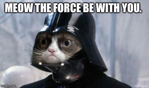 Grumpy Cat Star Wars | MEOW THE FORCE BE WITH YOU. | image tagged in memes,grumpy cat star wars,grumpy cat | made w/ Imgflip meme maker