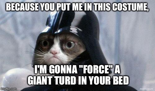 Grumpy Cat Star Wars Meme | BECAUSE YOU PUT ME IN THIS COSTUME, I'M GONNA "FORCE" A GIANT TURD IN YOUR BED | image tagged in memes,grumpy cat star wars,grumpy cat | made w/ Imgflip meme maker