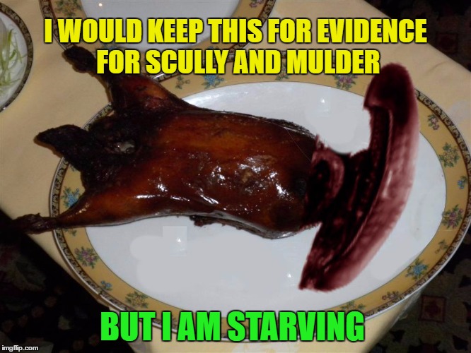 I WOULD KEEP THIS FOR EVIDENCE FOR SCULLY AND MULDER BUT I AM STARVING | made w/ Imgflip meme maker