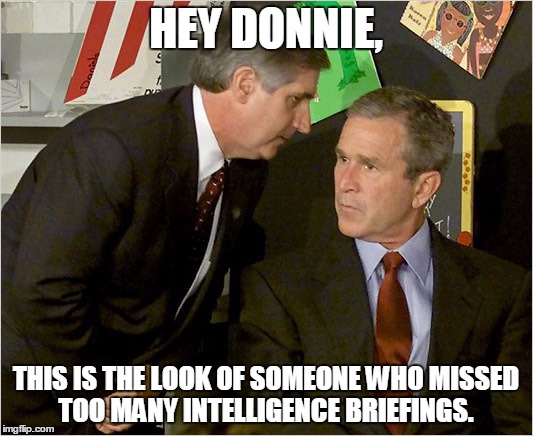 Intelligence Briefings | HEY DONNIE, THIS IS THE LOOK OF SOMEONE WHO MISSED TOO MANY INTELLIGENCE BRIEFINGS. | image tagged in trump,idiot,bush | made w/ Imgflip meme maker