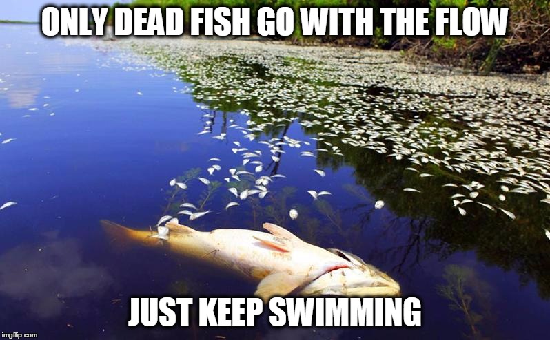 Keep moving | ONLY DEAD FISH GO WITH THE FLOW; JUST KEEP SWIMMING | image tagged in motivation,life | made w/ Imgflip meme maker