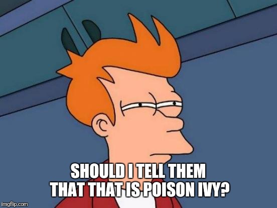 Futurama Fry Meme | SHOULD I TELL THEM THAT THAT IS POISON IVY? | image tagged in memes,futurama fry | made w/ Imgflip meme maker