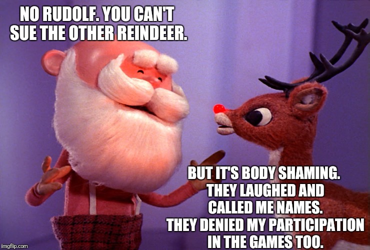 I'm coming after you too old man. I'm a kid. You violated a dozen labor laws. | NO RUDOLF. YOU CAN'T SUE THE OTHER REINDEER. BUT IT'S BODY SHAMING. THEY LAUGHED AND CALLED ME NAMES. THEY DENIED MY PARTICIPATION IN THE GAMES TOO. | image tagged in rudolph,santa claus | made w/ Imgflip meme maker