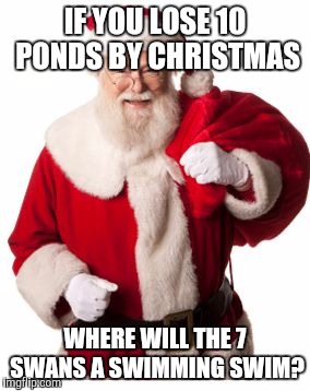Santa 1 | IF YOU LOSE 10 PONDS BY CHRISTMAS WHERE WILL THE 7 SWANS A SWIMMING SWIM? | image tagged in santa 1 | made w/ Imgflip meme maker