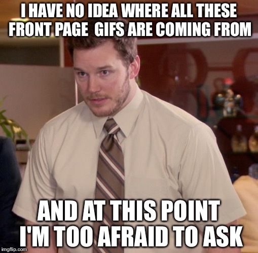 Afraid To Ask Andy | I HAVE NO IDEA WHERE ALL THESE FRONT PAGE  GIFS ARE COMING FROM; AND AT THIS POINT I'M TOO AFRAID TO ASK | image tagged in memes,afraid to ask andy | made w/ Imgflip meme maker