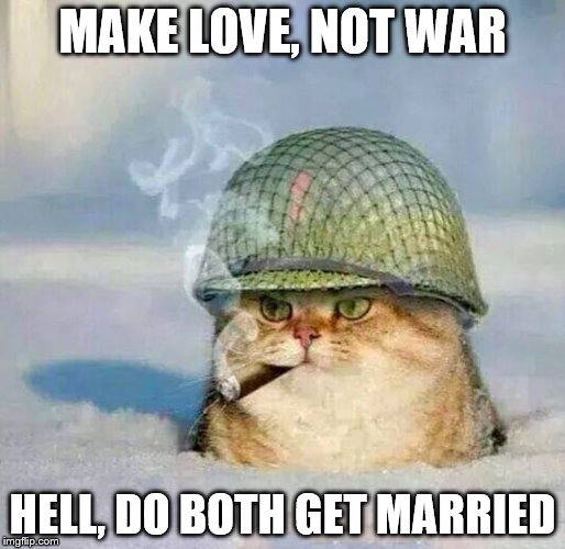 War Cat |  MAKE LOVE, NOT WAR; HELL, DO BOTH GET MARRIED | image tagged in war cat | made w/ Imgflip meme maker
