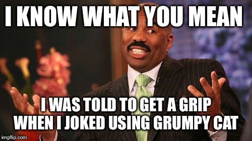 I KNOW WHAT YOU MEAN I WAS TOLD TO GET A GRIP WHEN I JOKED USING GRUMPY CAT | image tagged in memes,steve harvey | made w/ Imgflip meme maker