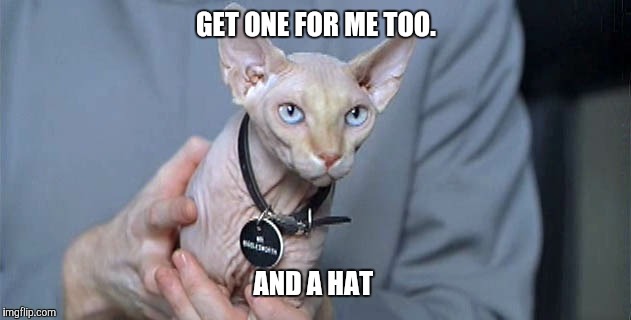 GET ONE FOR ME TOO. AND A HAT | made w/ Imgflip meme maker