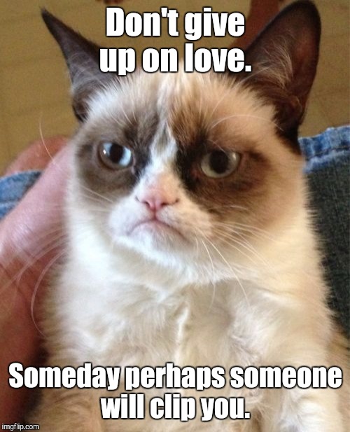 Grumpy Cat Meme | Don't give up on love. Someday perhaps someone will clip you. | image tagged in memes,grumpy cat | made w/ Imgflip meme maker