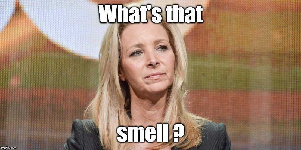 Lisa Kudrow | What's that smell ? | image tagged in lisa kudrow | made w/ Imgflip meme maker