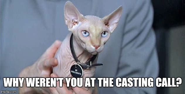 WHY WEREN'T YOU AT THE CASTING CALL? | made w/ Imgflip meme maker