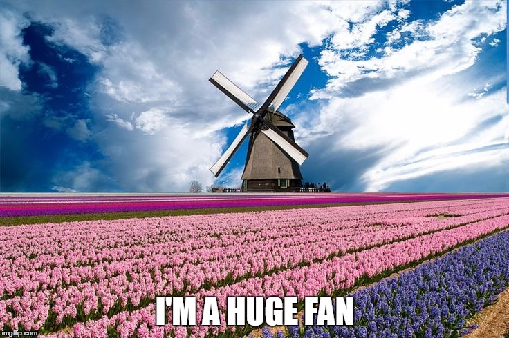 I'm A Huge Fan | I'M A HUGE FAN | image tagged in windmill,fan,huge | made w/ Imgflip meme maker