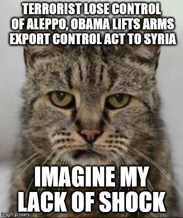 Hazbean | TERRORIST LOSE CONTROL OF ALEPPO,
OBAMA LIFTS ARMS EXPORT CONTROL ACT TO SYRIA; IMAGINE MY LACK OF SHOCK | image tagged in hazbean | made w/ Imgflip meme maker