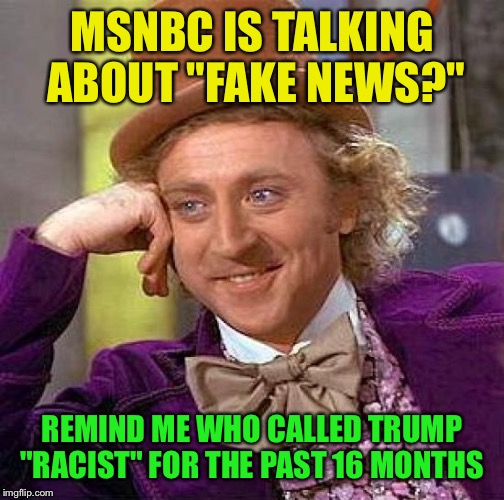 Creepy Condescending Wonka Meme | MSNBC IS TALKING ABOUT "FAKE NEWS?"; REMIND ME WHO CALLED TRUMP "RACIST" FOR THE PAST 16 MONTHS | image tagged in memes,creepy condescending wonka | made w/ Imgflip meme maker