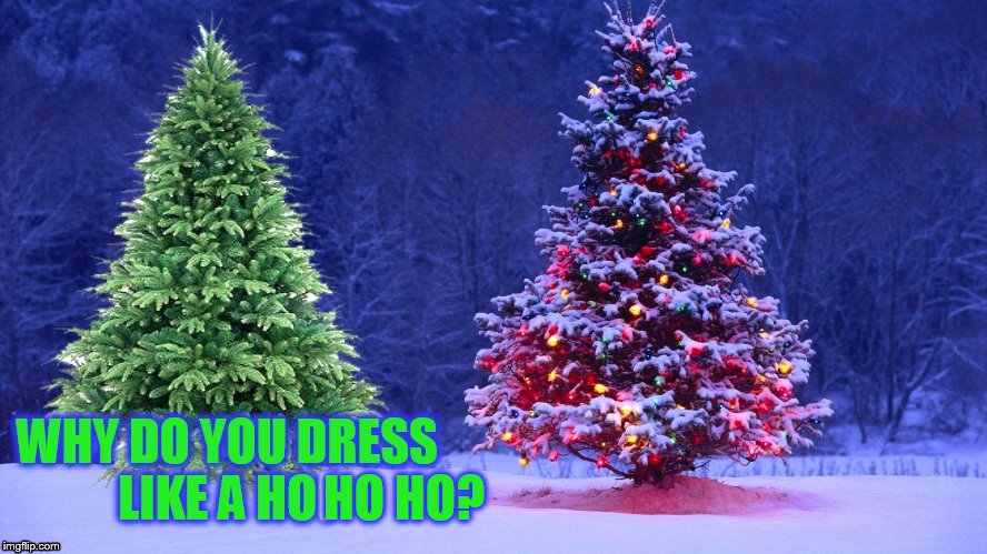 The 14 Christmas Memes Till Christmas Event  | HO HO? III | image tagged in funny memes,christmas memes,christmas trees,ho ho ho,christmas decorations,laughs | made w/ Imgflip meme maker