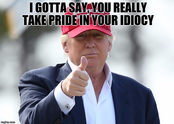 Trumpsters | I GOTTA SAY, YOU REALLY TAKE PRIDE IN YOUR IDIOCY | image tagged in trumpster,meme,idiots,stupidity | made w/ Imgflip meme maker