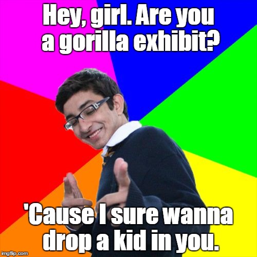 Subtle Pickup Liner | Hey, girl. Are you a gorilla exhibit? 'Cause I sure wanna drop a kid in you. | image tagged in memes,subtle pickup liner | made w/ Imgflip meme maker