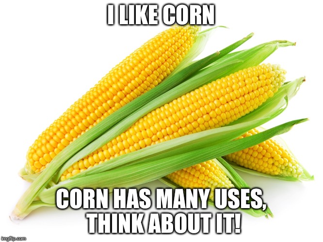 I like corn | I LIKE CORN; CORN HAS MANY USES, THINK ABOUT IT! | image tagged in corn | made w/ Imgflip meme maker