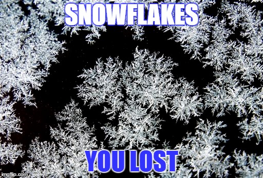snowflake | SNOWFLAKES; YOU LOST | image tagged in snowflake,liberals,idiots,hillary clinton | made w/ Imgflip meme maker