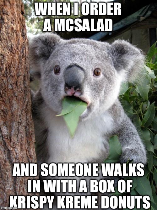 Surprised Koala Meme | WHEN I ORDER A MCSALAD; AND SOMEONE WALKS IN WITH A BOX OF KRISPY KREME DONUTS | image tagged in memes,surprised koala | made w/ Imgflip meme maker