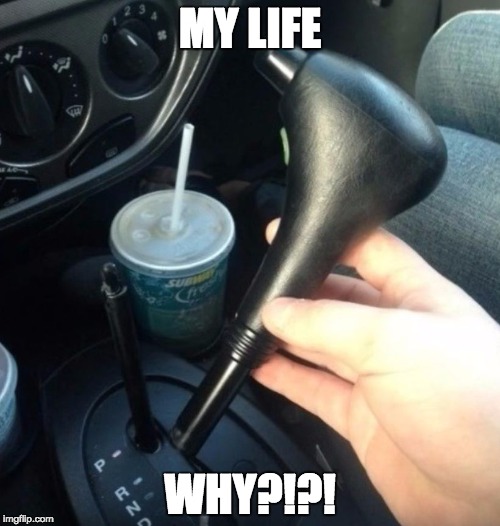 MY LIFE; WHY?!?! | image tagged in my life | made w/ Imgflip meme maker
