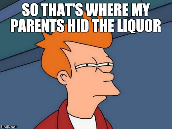 Futurama Fry Meme | SO THAT'S WHERE MY PARENTS HID THE LIQUOR | image tagged in memes,futurama fry | made w/ Imgflip meme maker