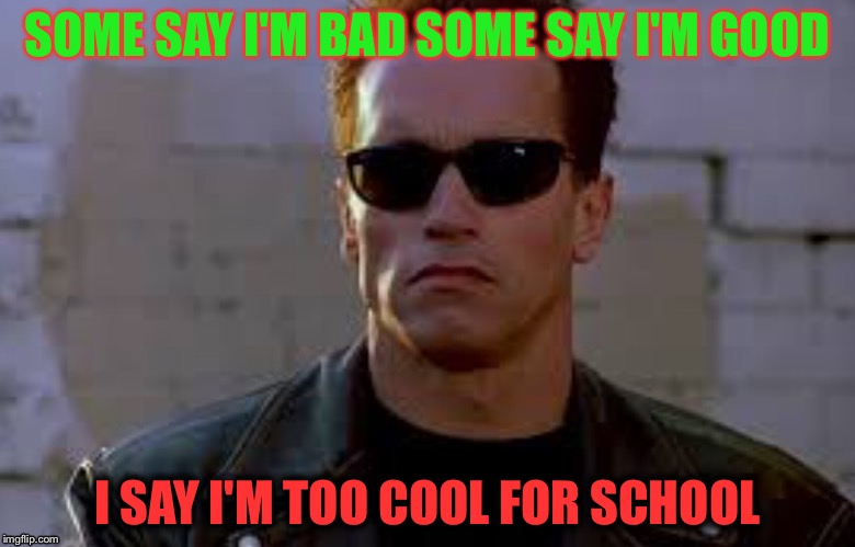 Cool | SOME SAY I'M BAD SOME SAY I'M GOOD; I SAY I'M TOO COOL FOR SCHOOL | image tagged in funny | made w/ Imgflip meme maker