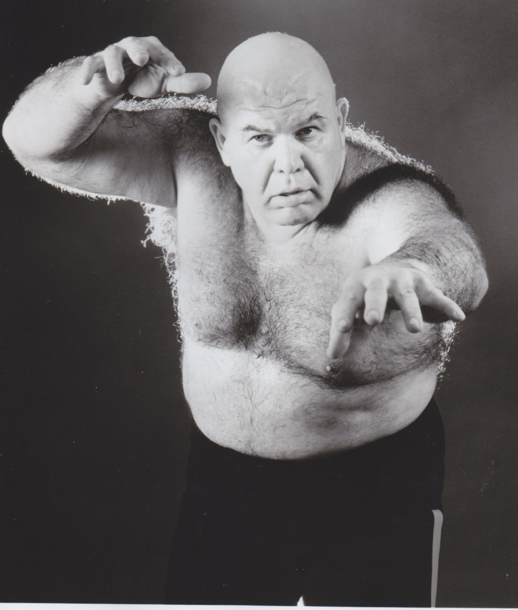 George the Animal Steele Blank Meme Template