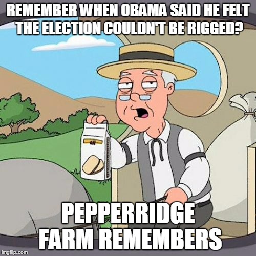 Pepperidge Farm Remembers Meme | REMEMBER WHEN OBAMA SAID HE FELT THE ELECTION COULDN'T BE RIGGED? PEPPERRIDGE FARM REMEMBERS | image tagged in memes,pepperidge farm remembers | made w/ Imgflip meme maker