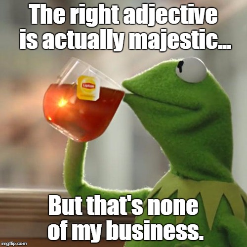 When someone says a beautiful gif is "dank"... | The right adjective is actually majestic... But that's none of my business. | image tagged in memes,but thats none of my business,kermit the frog | made w/ Imgflip meme maker