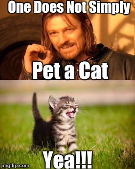 One Does Not Simply Pet a Cat | One Does Not Simply; Pet a Cat; Yea!!! | image tagged in petting,a cat,one does not simply,yea | made w/ Imgflip meme maker