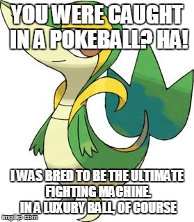 smugleaf | YOU WERE CAUGHT IN A POKEBALL? HA! I WAS BRED TO BE THE ULTIMATE FIGHTING MACHINE. IN A LUXURY BALL, OF COURSE | image tagged in smugleaf | made w/ Imgflip meme maker