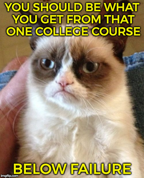 Grumpy Cat | YOU SHOULD BE WHAT YOU GET FROM THAT ONE COLLEGE COURSE; BELOW FAILURE | image tagged in memes,grumpy cat | made w/ Imgflip meme maker