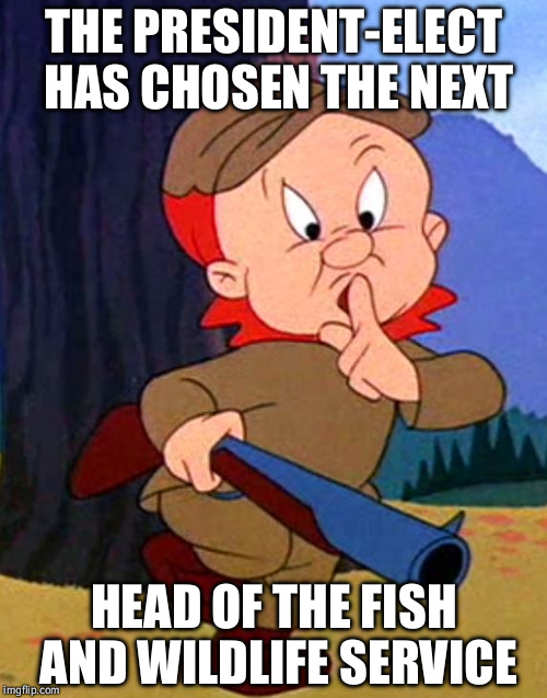 Shh. Be vewy vewy quiet. | THE PRESIDENT-ELECT HAS CHOSEN THE NEXT; HEAD OF THE FISH AND WILDLIFE SERVICE | image tagged in elmer fudd,donald trump | made w/ Imgflip meme maker