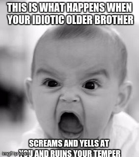 this is what happens | THIS IS WHAT HAPPENS WHEN YOUR IDIOTIC OLDER BROTHER; SCREAMS AND YELLS AT YOU AND RUINS YOUR TEMPER | image tagged in memes,angry baby | made w/ Imgflip meme maker