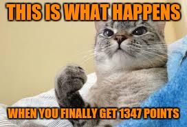 finally | THIS IS WHAT HAPPENS; WHEN YOU FINALLY GET 1347 POINTS | image tagged in success cat | made w/ Imgflip meme maker