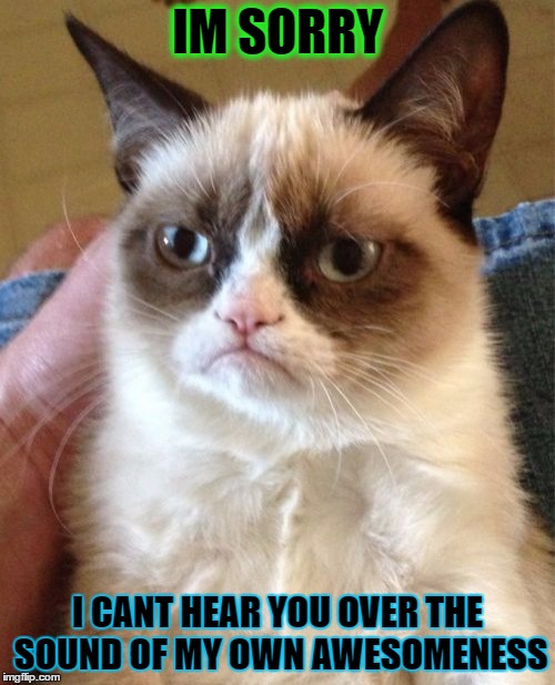 Grumpy Cat Meme | IM SORRY; I CANT HEAR YOU OVER THE SOUND OF MY OWN AWESOMENESS | image tagged in memes,grumpy cat | made w/ Imgflip meme maker