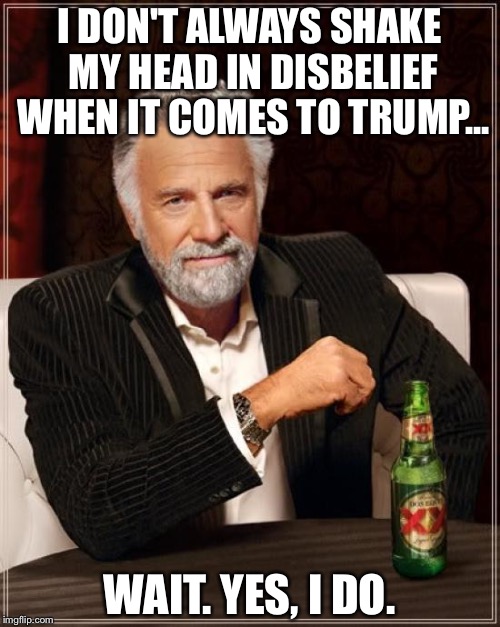 The Most Interesting Man In The World | I DON'T ALWAYS SHAKE MY HEAD IN DISBELIEF WHEN IT COMES TO TRUMP... WAIT. YES, I DO. | image tagged in memes,the most interesting man in the world | made w/ Imgflip meme maker