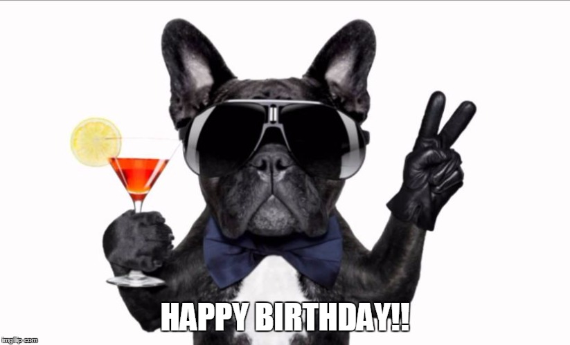 Cool Dog Birthday | HAPPY BIRTHDAY!! | image tagged in cool dog birthday | made w/ Imgflip meme maker