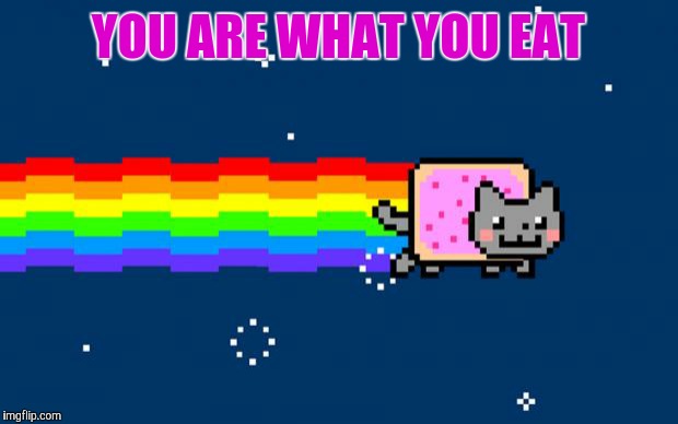 Nyan Cat | YOU ARE WHAT YOU EAT | image tagged in nyan cat | made w/ Imgflip meme maker
