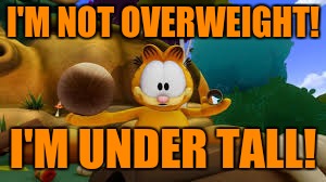 Garfield the cat explaining quotes! | I'M NOT OVERWEIGHT! I'M UNDER TALL! | image tagged in garfield the cat | made w/ Imgflip meme maker