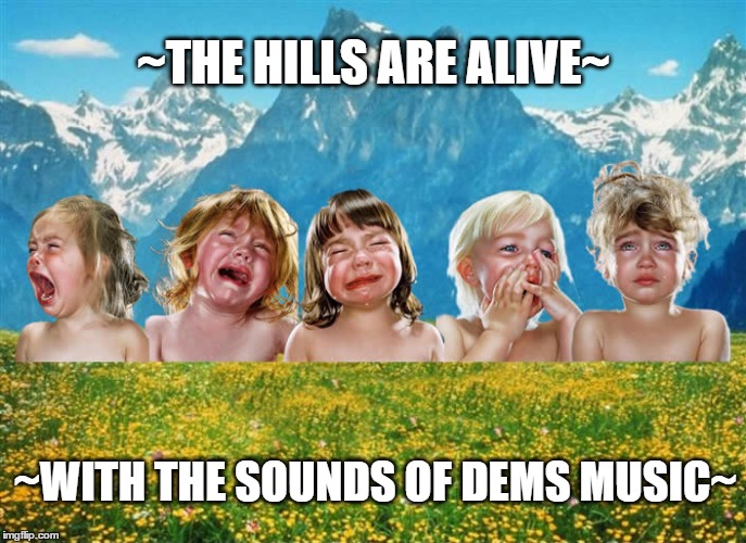 babies tantrum look at all the fucks i give | ~THE HILLS ARE ALIVE~; ~WITH THE SOUNDS OF DEMS MUSIC~ | image tagged in babies tantrum look at all the fucks i give | made w/ Imgflip meme maker