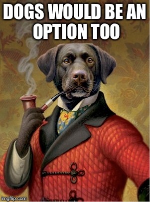 DOGS WOULD BE
AN OPTION TOO | made w/ Imgflip meme maker