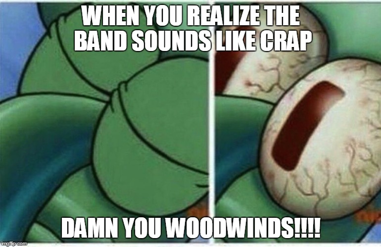 Squidward | WHEN YOU REALIZE THE BAND SOUNDS LIKE CRAP; DAMN YOU WOODWINDS!!!! | image tagged in squidward | made w/ Imgflip meme maker